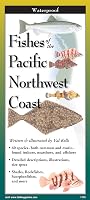 Fishes of The Pacific Northwest Coast