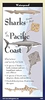 Sharks Of The Pacific Coast