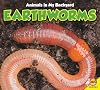 Earthworms (Animals in My Backyard)