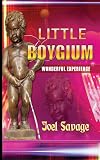 Little Boygium- Wonderful Experience