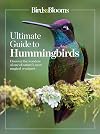 Ultimate Guide to Hummingbirds