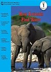 How Animals Find Water (RiverStream Readers: Level 1)