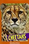 Cheetahs (Wild Cats)