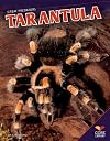 Tarantula (Core Library: Great Predators)
