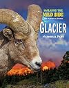 Glacier