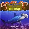 Life in the Gulf of Mexico (Water Planet)