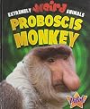 Proboscis Monkey