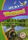 Life in a Wetland