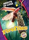 Fireflies (Insects Up Close)