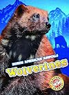 Wolverines (Blastoff! Readers, Level 3: North American Animals)