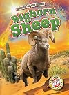 Bighorn Sheep (Animals of the Desert: Blastoff Readers)