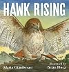 Hawk Rising