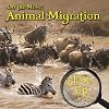 On the Move (Close-Up on Amazing Animals)