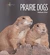 Prairie Dogs (Amazing Animals)