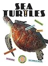 Sea Turtles (X-Books: Reptiles)