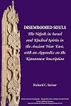 Disembodied Souls: The Nefesh in Israel and Kindred Spirits in the Ancient Near East, with an Appendix on the Katumuwa Inscription (Ancient Near East Monographs)