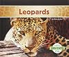 Leopards (Abdo Kids: Big Cats)