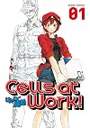 Cells at Work! 1
