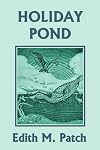 Holiday Pond