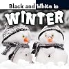 Black and White in Winter (Concepts: Seasons and Colors)
