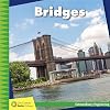 Bridges (21st Century Junior Library: Extraordinary Engineering)