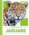 Jaguars (Rain Forest Animals)