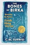 The Bones of Birka: Unraveling the Mystery of a Female Viking Warrior