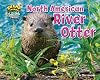 River Otter (Swamp Things: Animal Life in a Wetland)