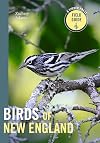 Birds of New England: A Timber Press Field Guide