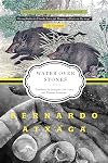 Water over Stones: A Novel