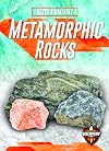 Metamorphic Rocks (Rocks & Minerals)