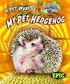 My Pet Hedgehog