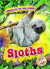Sloths (Animals of the Rain Forest: Blastoff Readers. Level 2)