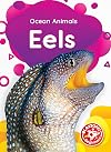 Eels (Ocean Animals)