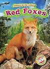 Red Foxes (Animals of the Forest: Blastoff! Readers, Level 2)