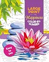Large Print Happiness Color-by-Number