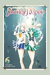 Pretty Guardian Sailor Moon, Vol. 6 {Naoko Takeuchi Collection}