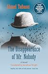 The Disappearance of Mr. Nobody: A Novel (Hoopoe Fiction)
