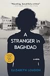 A Stranger in Baghdad: A Novel (Hoopoe Fiction)