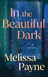 In the Beautiful Dark: A Novel