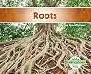 Roots (Abdo Kids: Plant Anatomy)