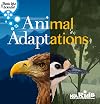Animal Adaptations - PB439X