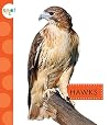 Hawks (Spot Backyard Animals)