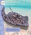 Stingrays