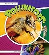 Insects as Pollinators