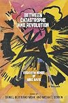 Between Catastrophe and Revolution: Essays in Honor of Mike Davis