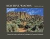Beautiful Wounds: A Search for Solace and Light in Washington's Channeled Scablands