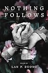 Nothing Follows (Diasporic Vietnamese Artists Network Series)