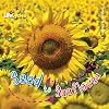 Seed to Sunflower (LifeCycles)