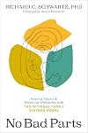 No Bad Parts: Healing Trauma and Restoring Wholeness with the Internal Family Systems Model
